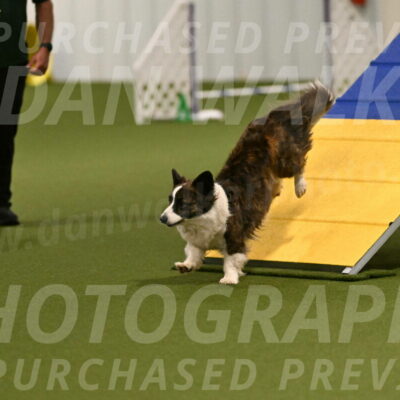 Jonny-Quest-Leslie-Masterson-10968