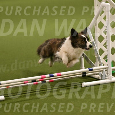 Jonny-Quest-Leslie-Masterson-10969