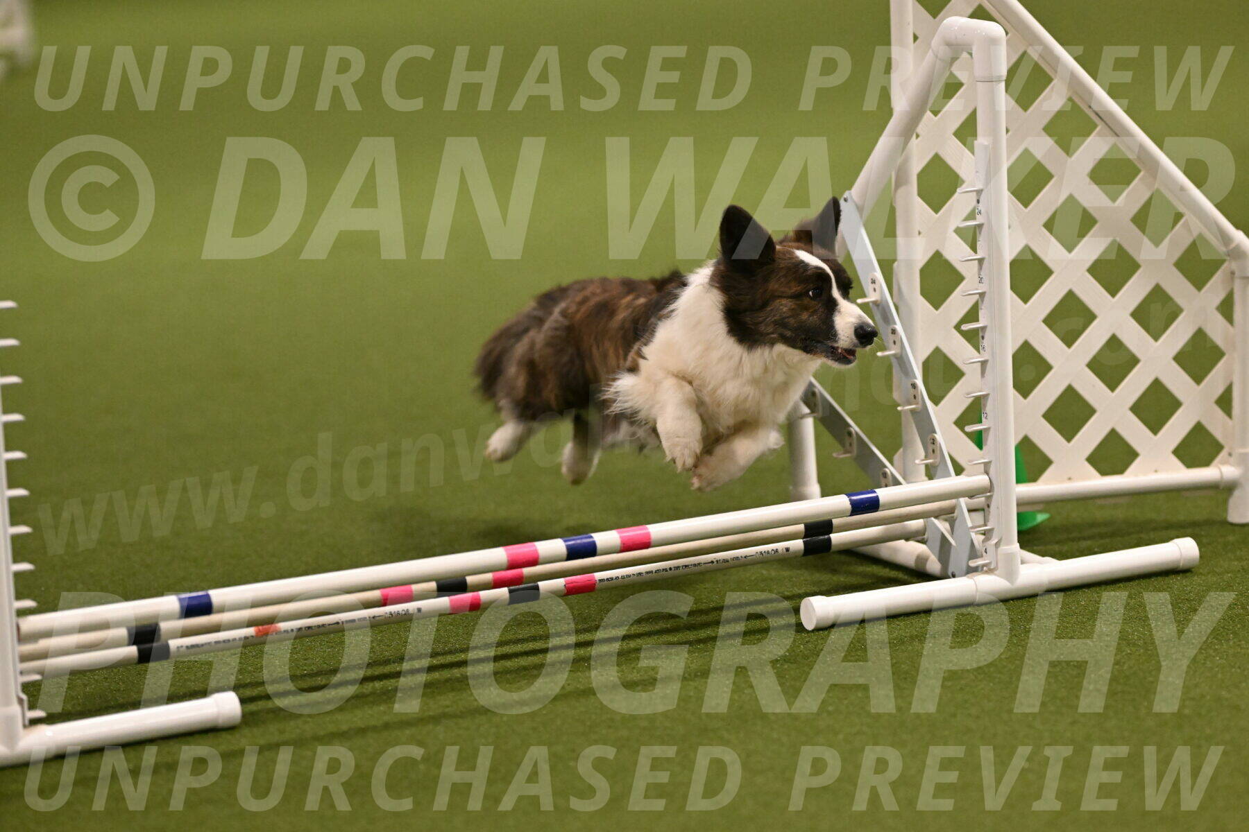 Jonny-Quest-Leslie-Masterson-10969