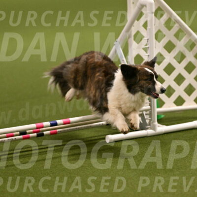 Jonny-Quest-Leslie-Masterson-10970