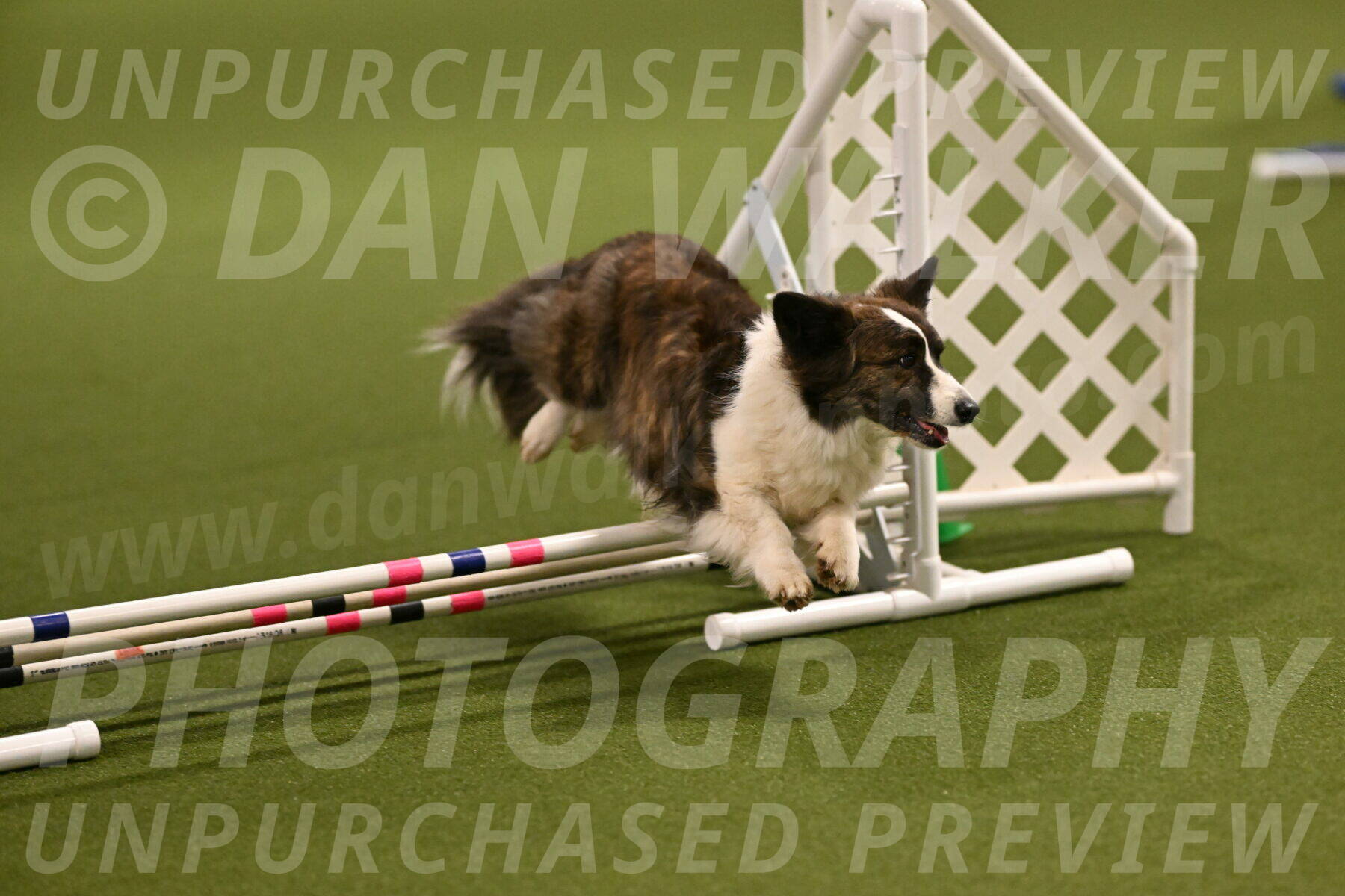 Jonny-Quest-Leslie-Masterson-10970