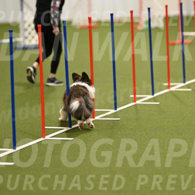 Jonny-Quest-Leslie-Masterson-10971