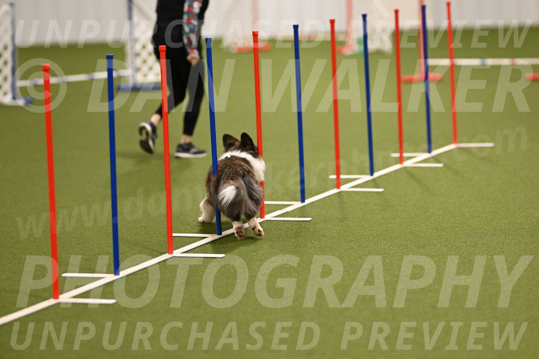 Jonny-Quest-Leslie-Masterson-10971