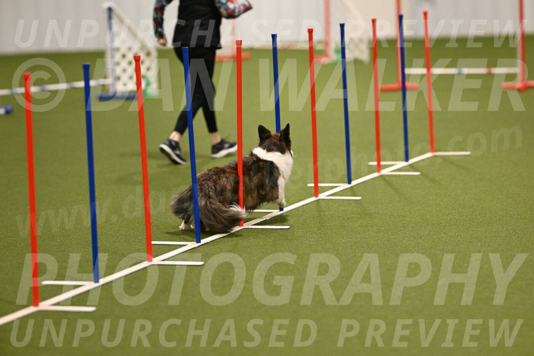 Jonny-Quest-Leslie-Masterson-10972