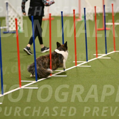 Jonny-Quest-Leslie-Masterson-10972