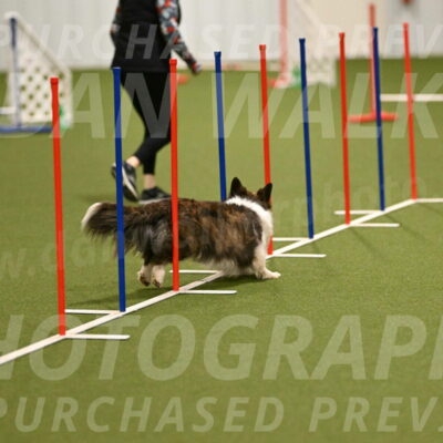 Jonny-Quest-Leslie-Masterson-10973