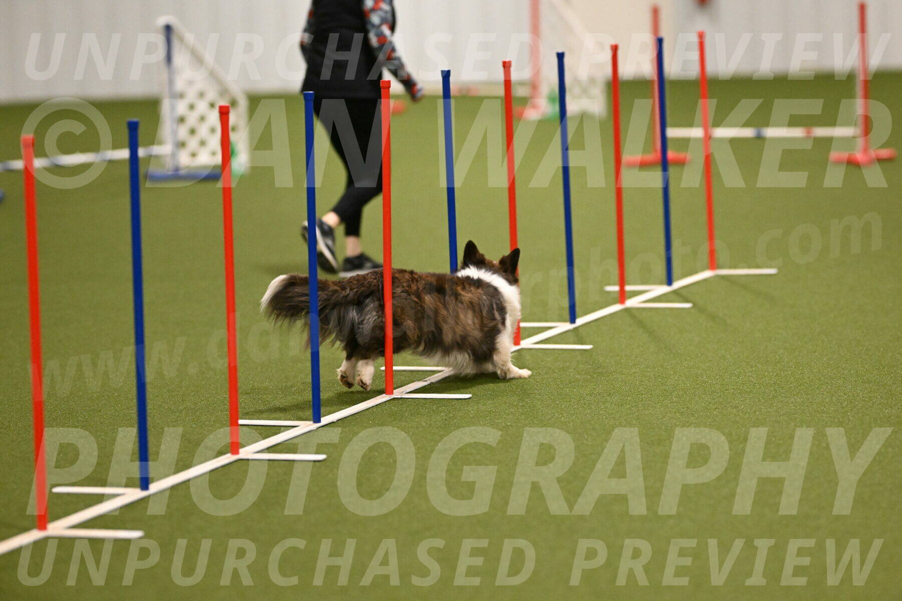 Jonny-Quest-Leslie-Masterson-10973