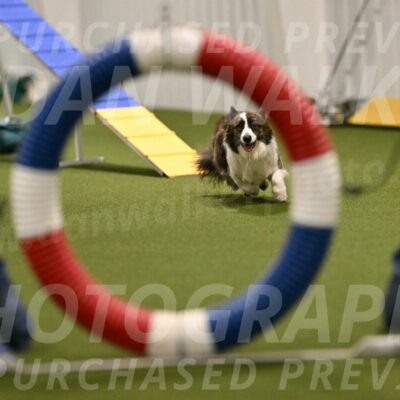 Jonny-Quest-Leslie-Masterson-10974