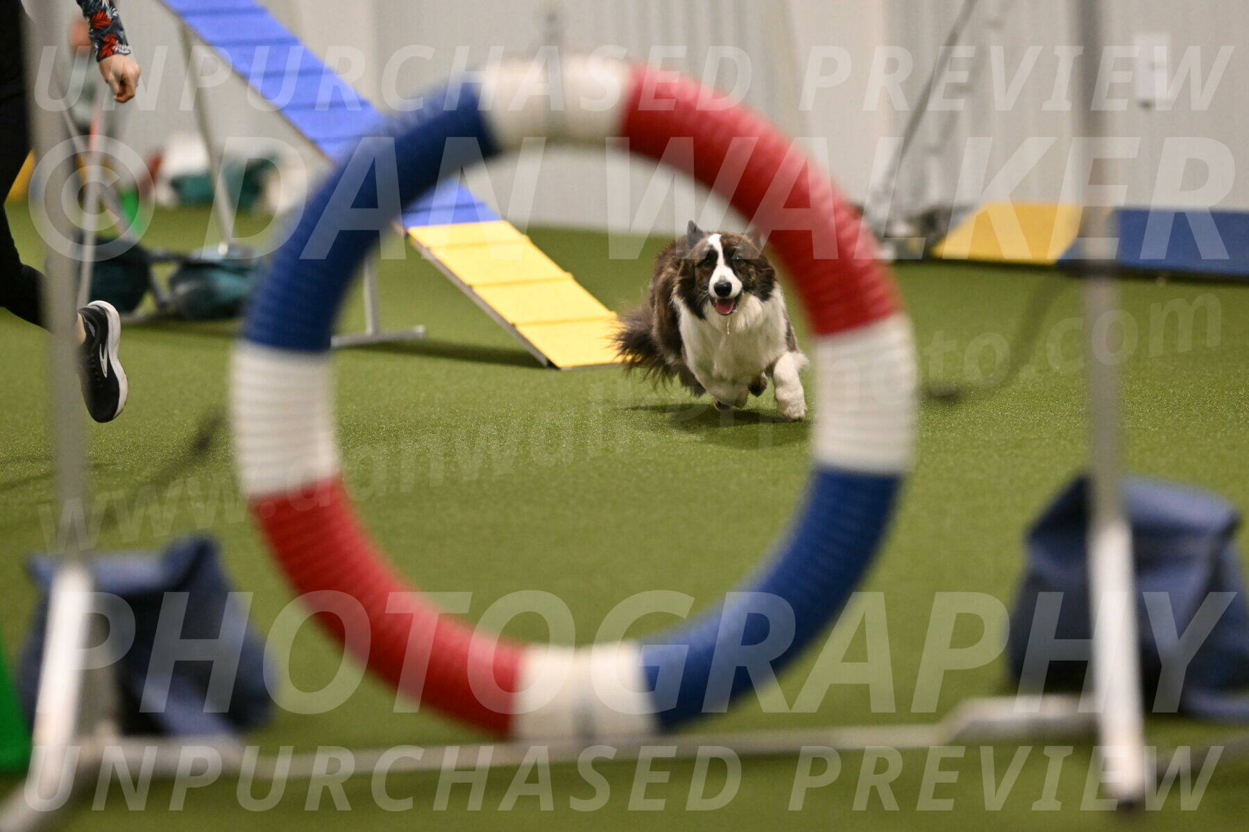 Jonny-Quest-Leslie-Masterson-10974