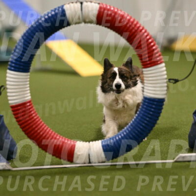 Jonny-Quest-Leslie-Masterson-10975