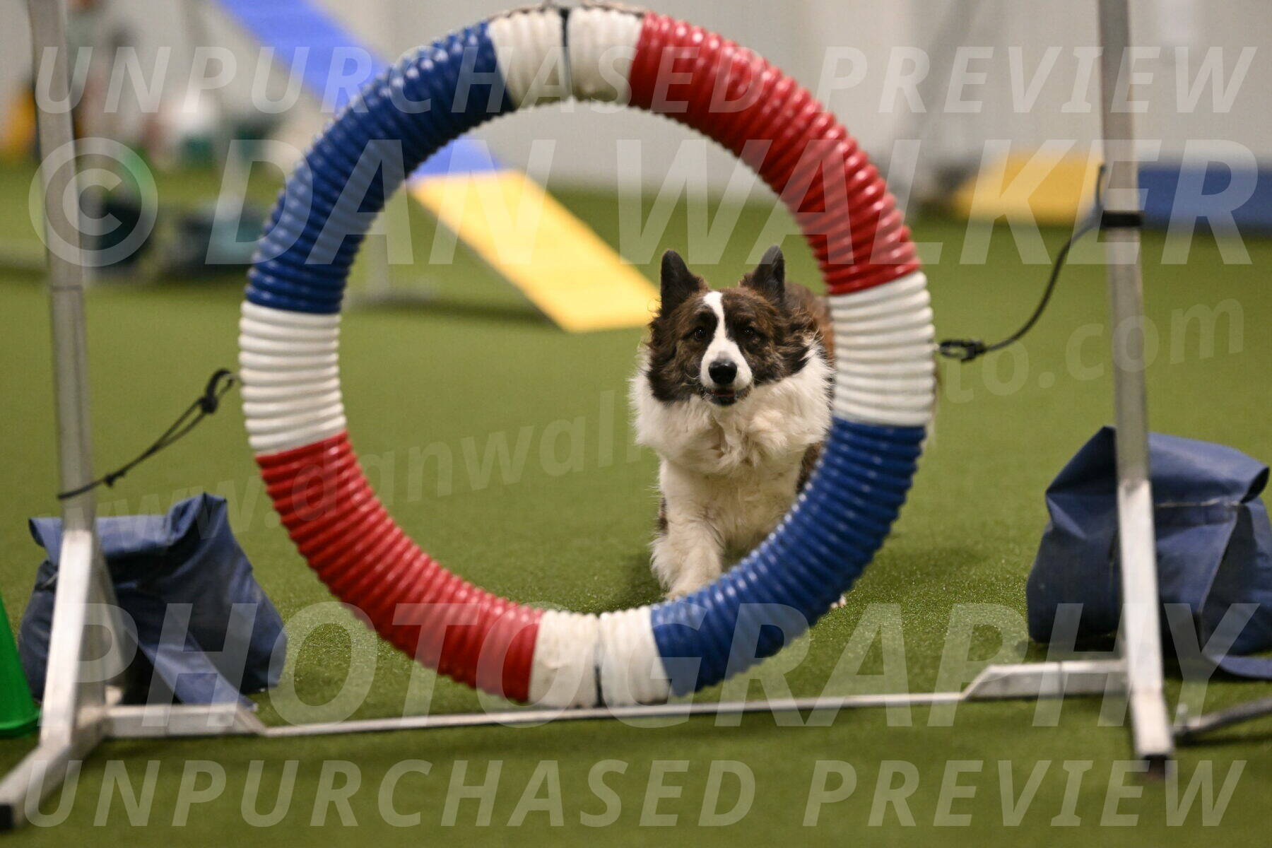 Jonny-Quest-Leslie-Masterson-10975