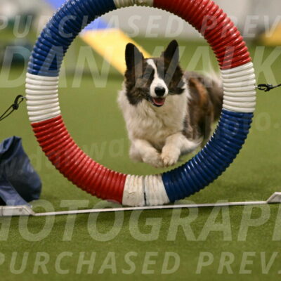 Jonny-Quest-Leslie-Masterson-10976