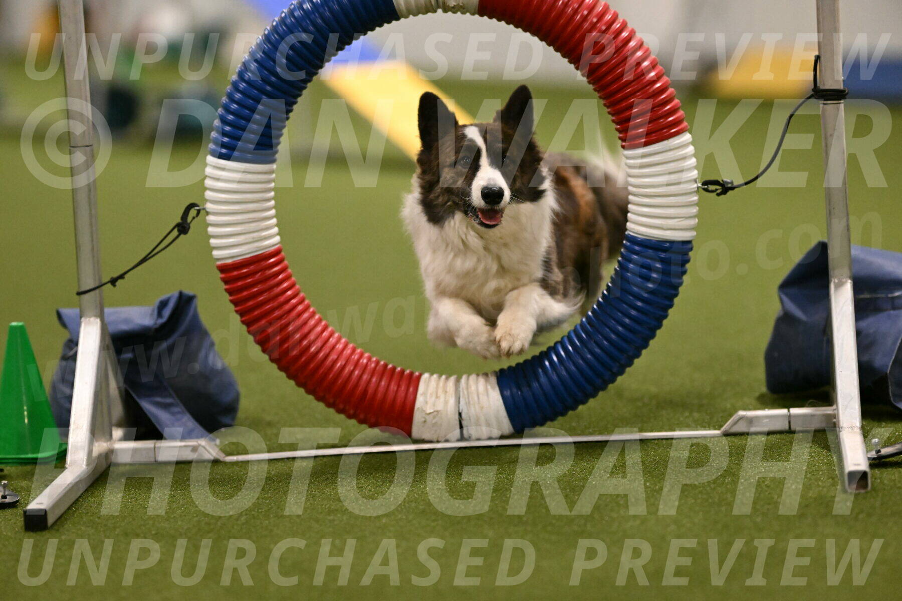 Jonny-Quest-Leslie-Masterson-10976