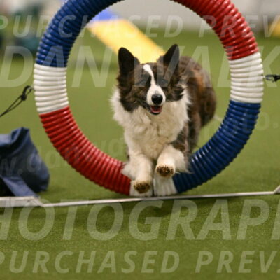 Jonny-Quest-Leslie-Masterson-10977