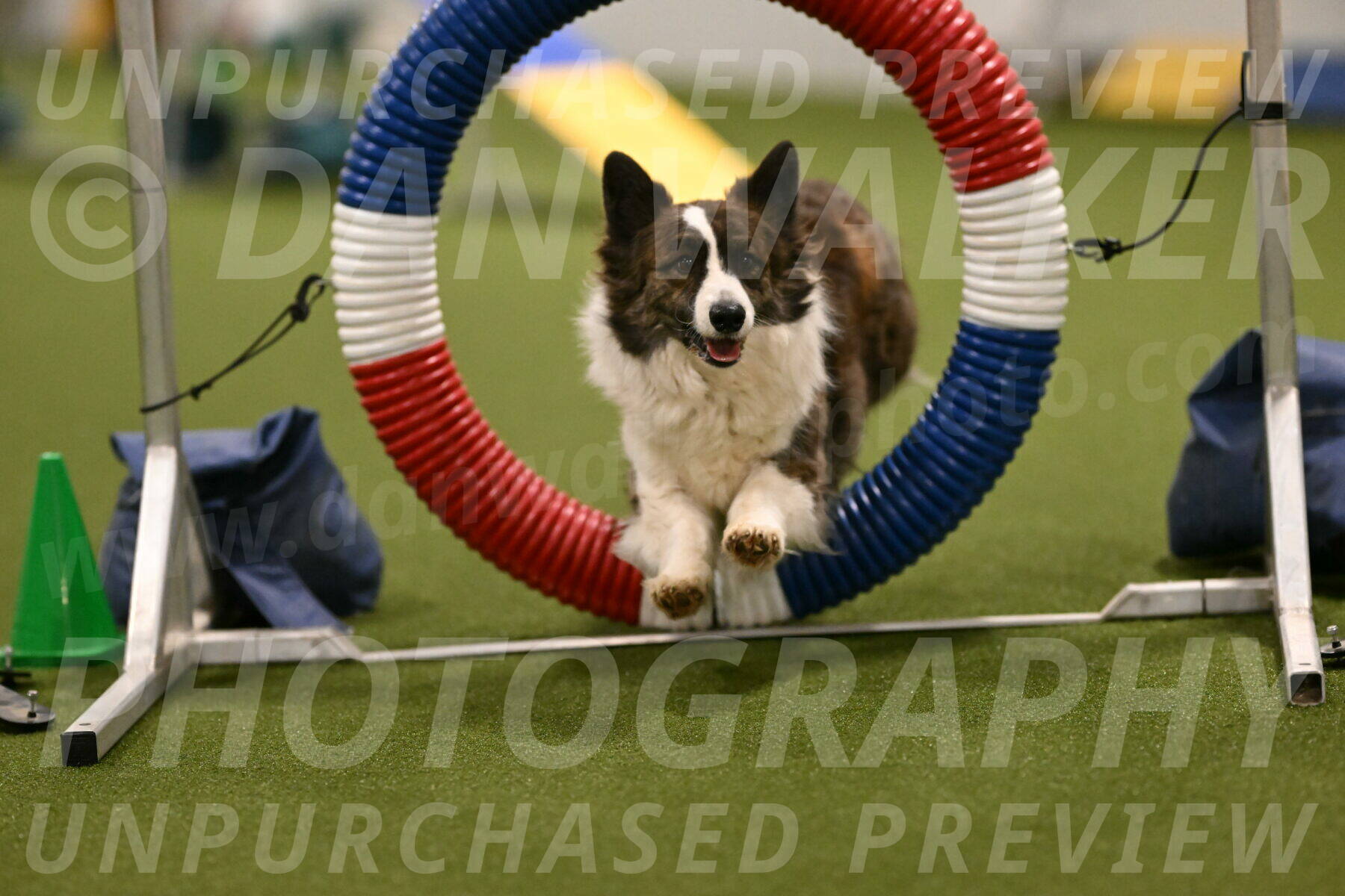 Jonny-Quest-Leslie-Masterson-10977