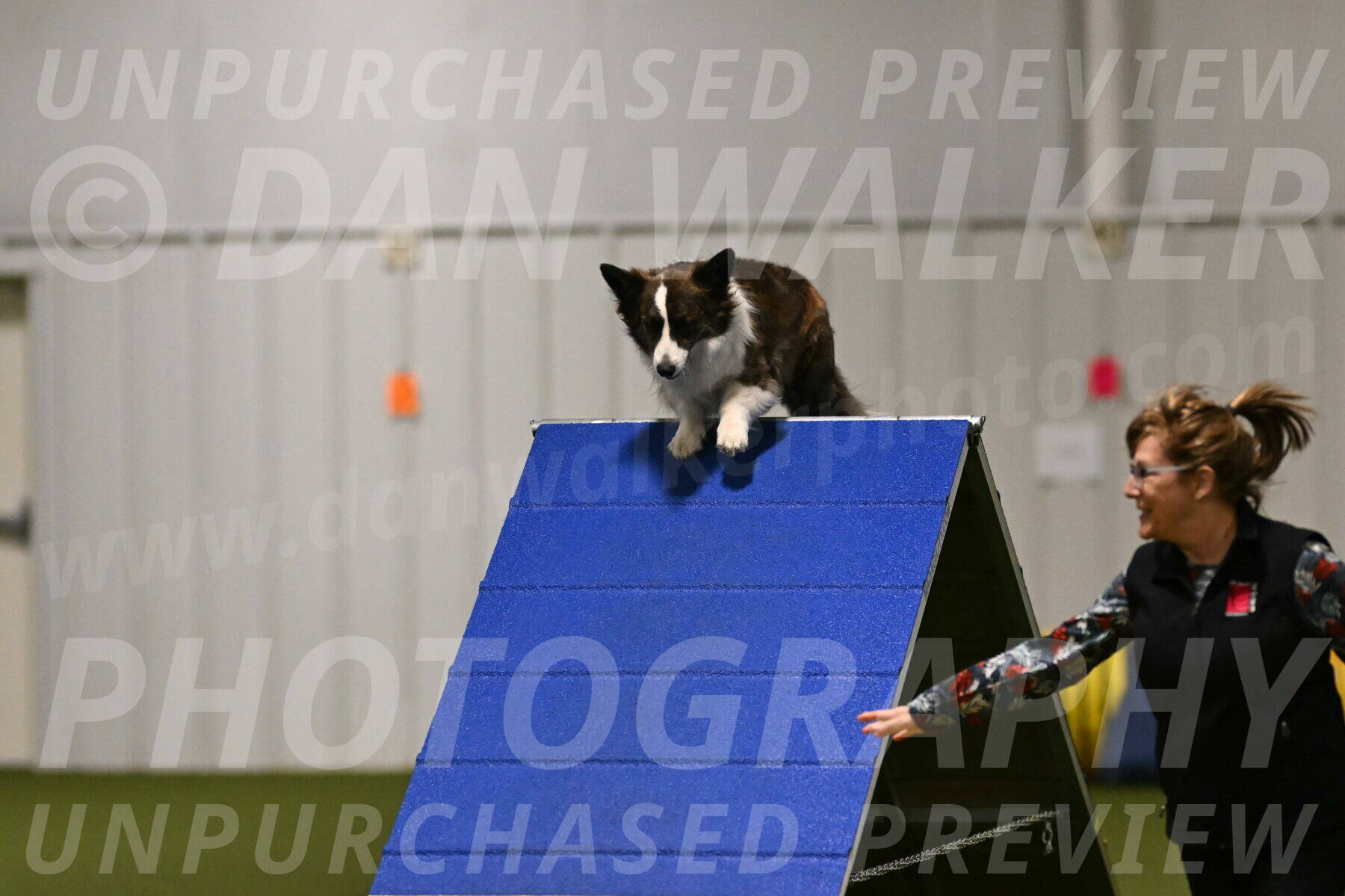 Jonny-Quest-Leslie-Masterson-10978