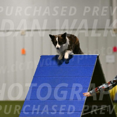 Jonny-Quest-Leslie-Masterson-10978