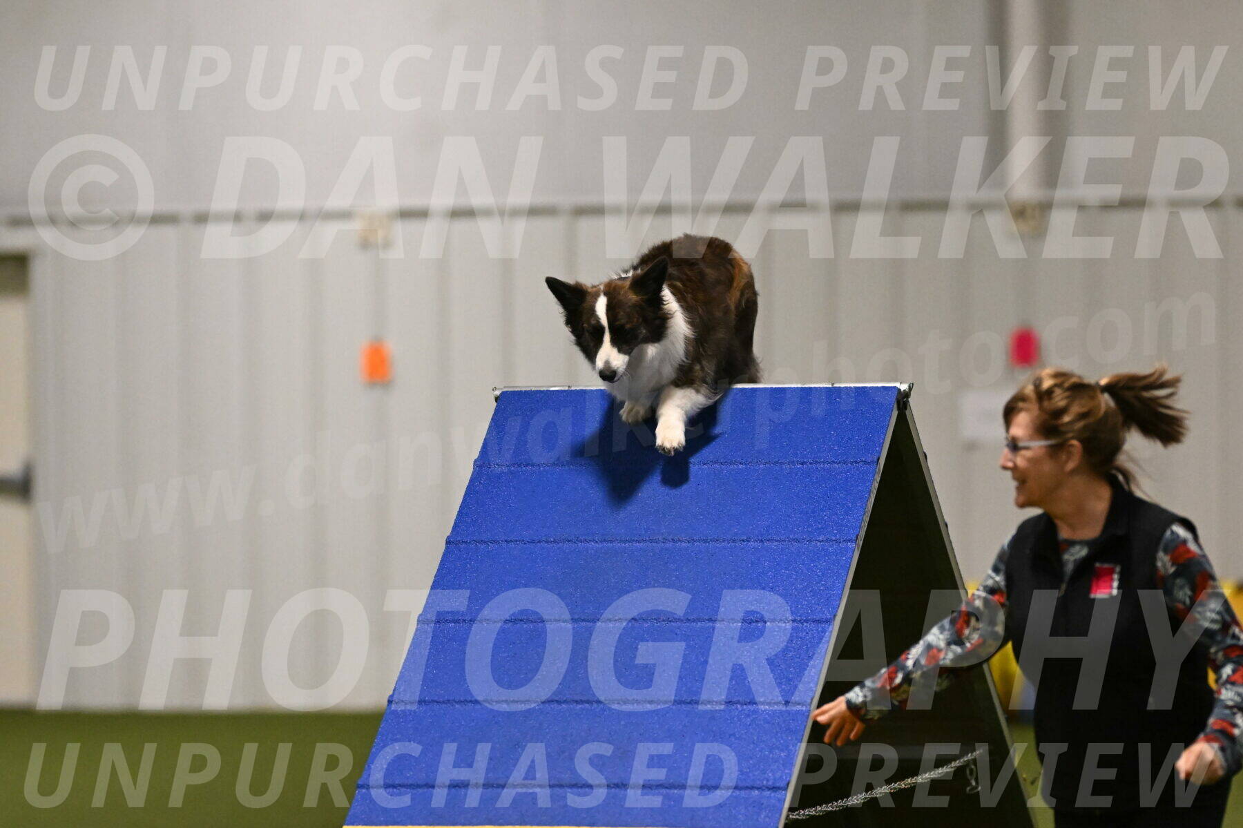 Jonny-Quest-Leslie-Masterson-10979