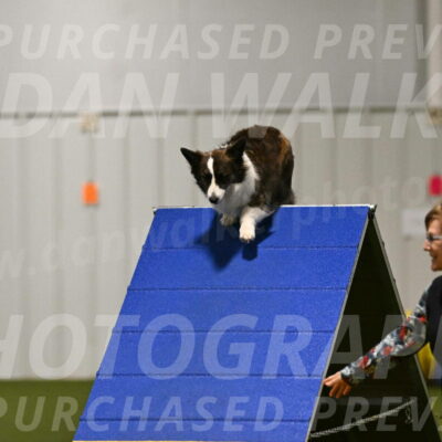 Jonny-Quest-Leslie-Masterson-10979