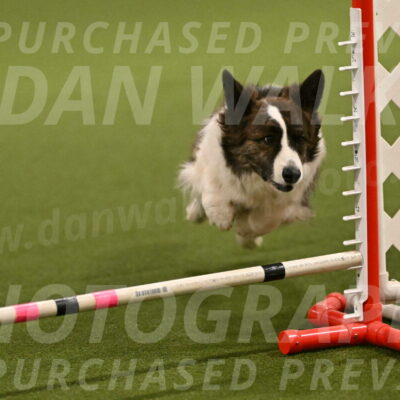 Jonny-Quest-Leslie-Masterson-10980