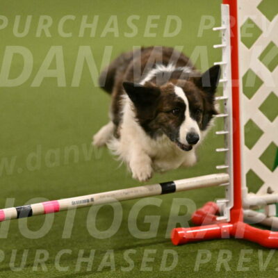 Jonny-Quest-Leslie-Masterson-10981