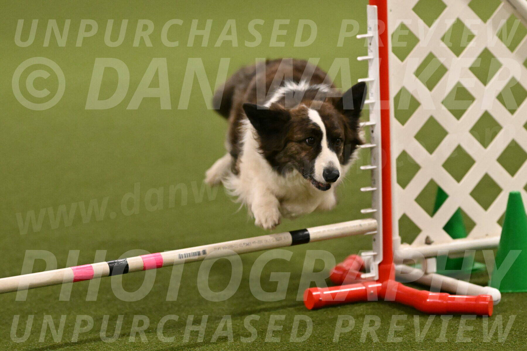 Jonny-Quest-Leslie-Masterson-10981