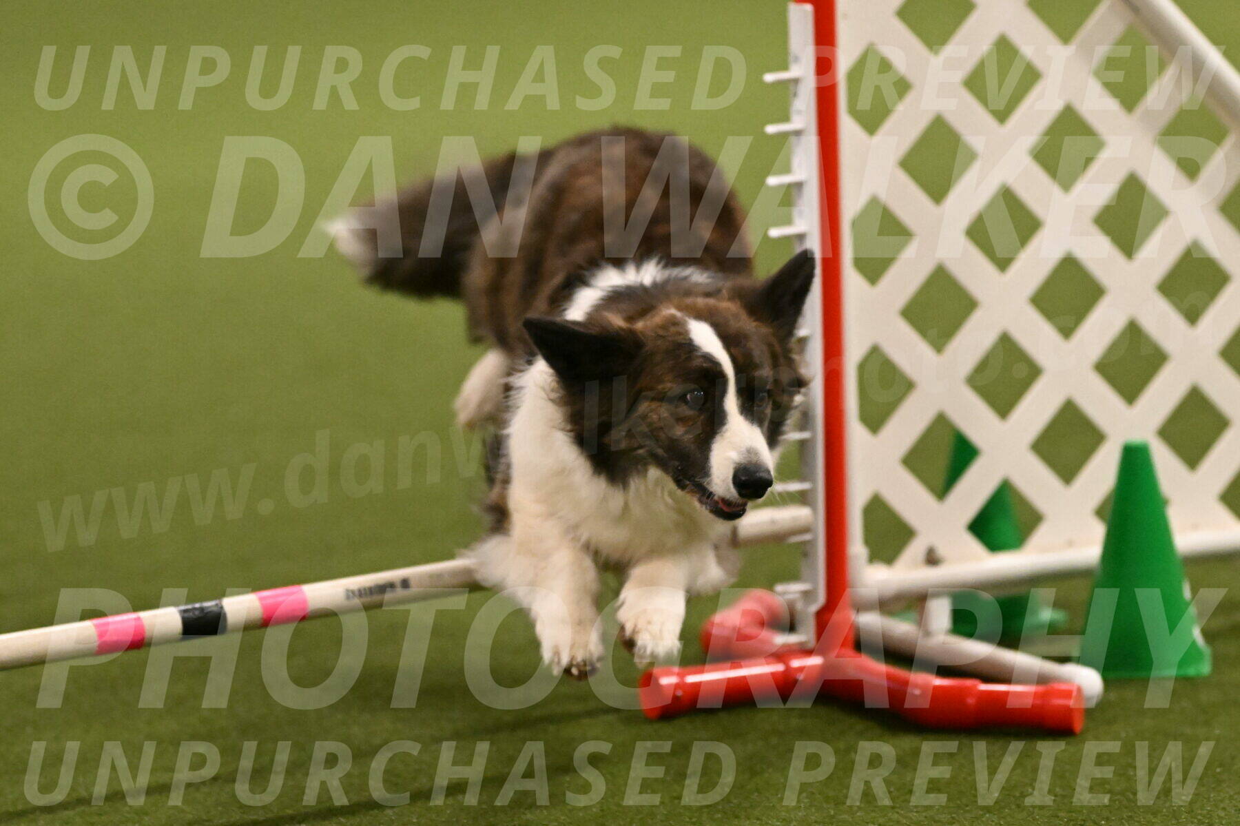 Jonny-Quest-Leslie-Masterson-10982