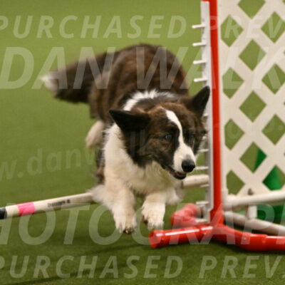 Jonny-Quest-Leslie-Masterson-10982