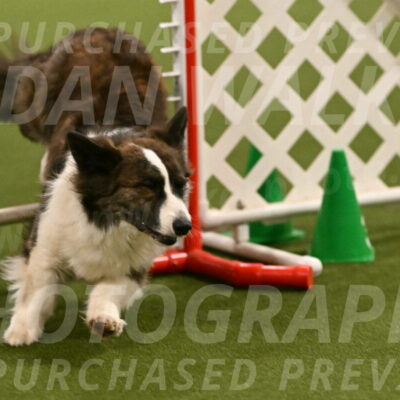 Jonny-Quest-Leslie-Masterson-10983