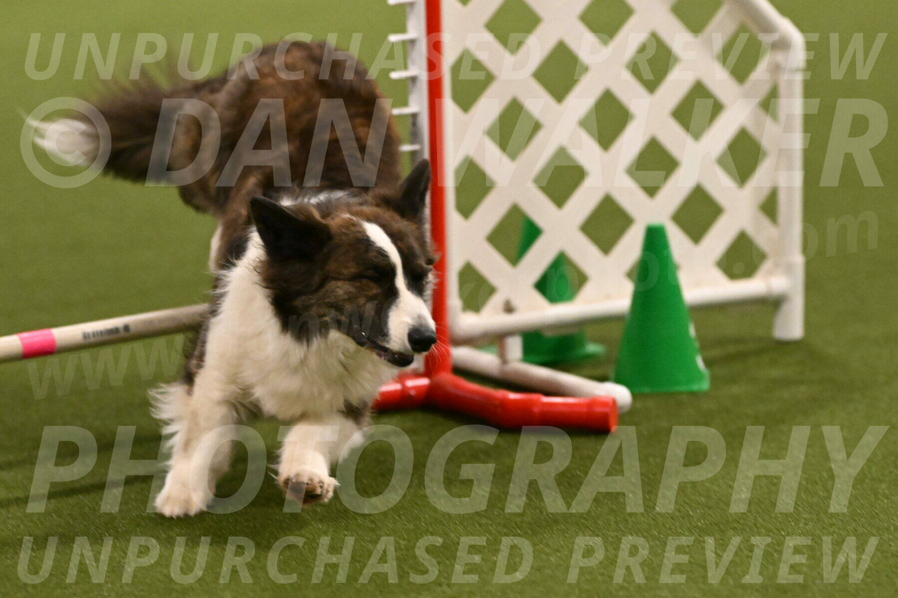 Jonny-Quest-Leslie-Masterson-10983