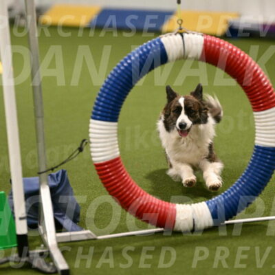 Jonny-Quest-Leslie-Masterson-10984