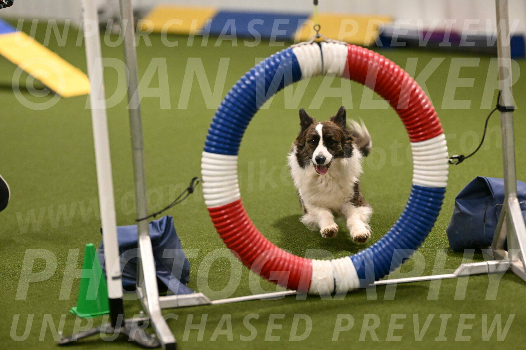 Jonny-Quest-Leslie-Masterson-10984