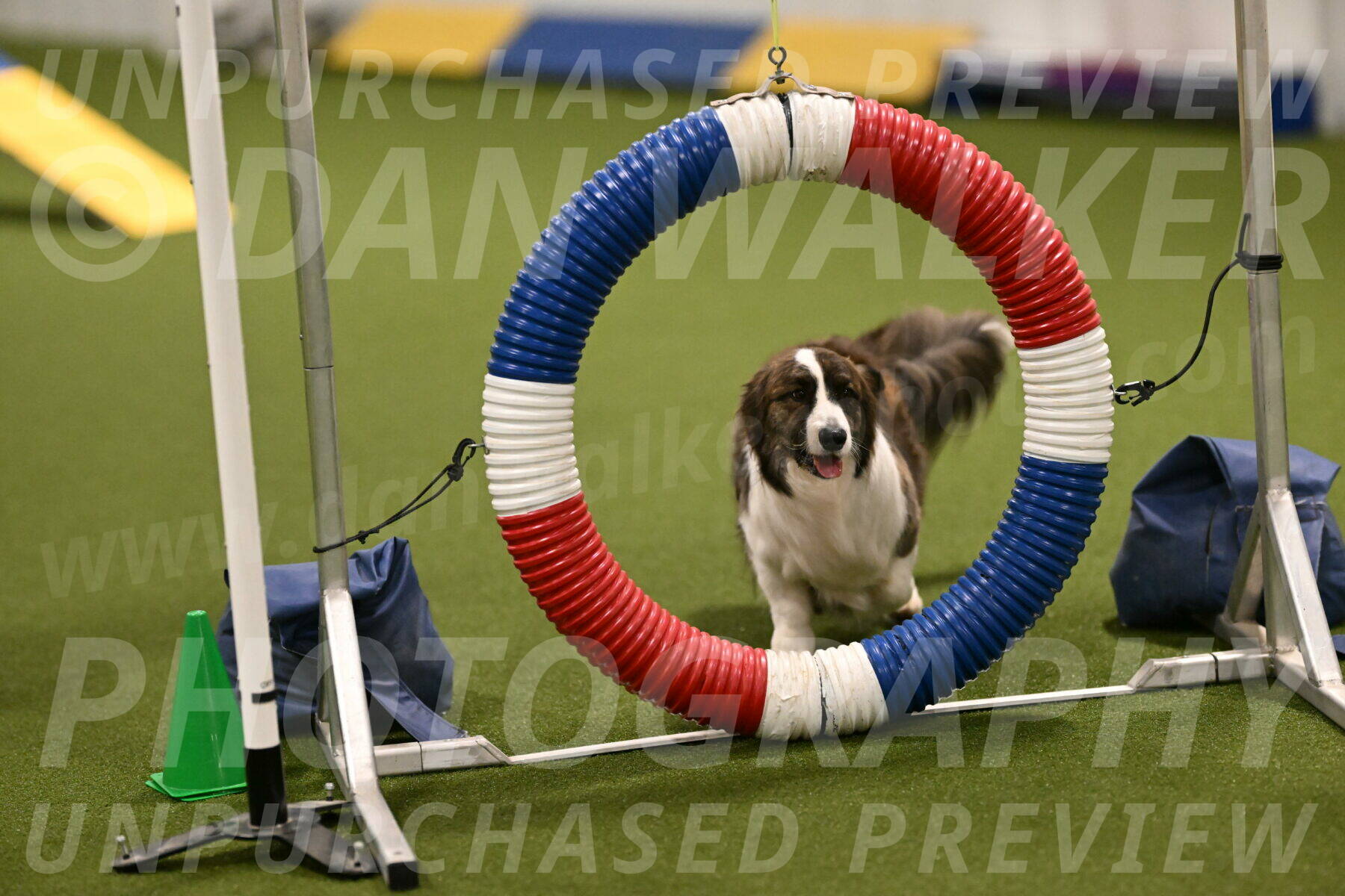 Jonny-Quest-Leslie-Masterson-10985