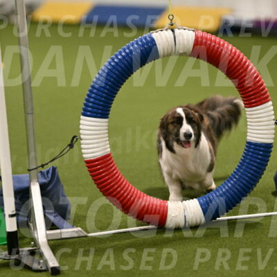 Jonny-Quest-Leslie-Masterson-10985