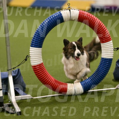 Jonny-Quest-Leslie-Masterson-10986