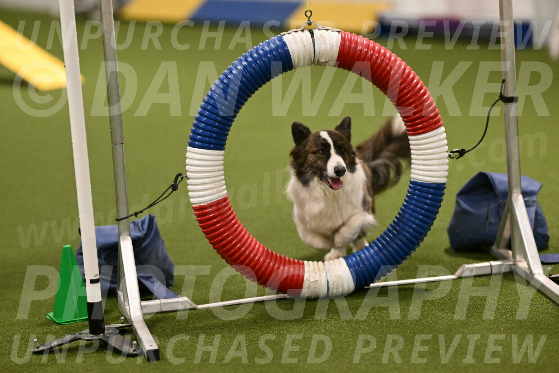 Jonny-Quest-Leslie-Masterson-10986