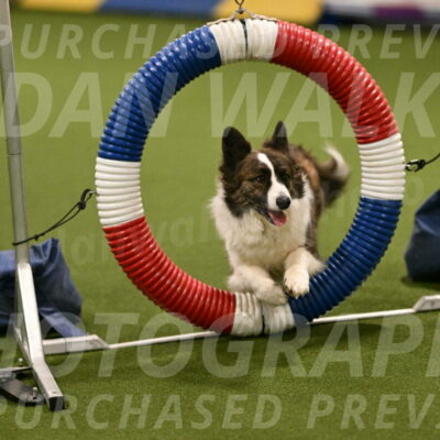 Jonny-Quest-Leslie-Masterson-10987