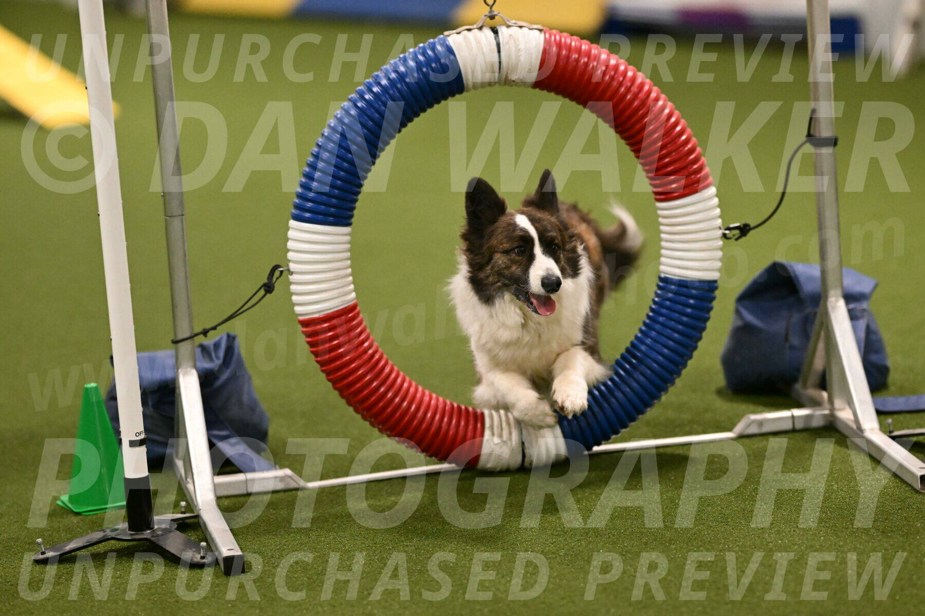 Jonny-Quest-Leslie-Masterson-10987