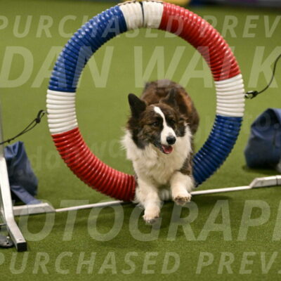 Jonny-Quest-Leslie-Masterson-10988