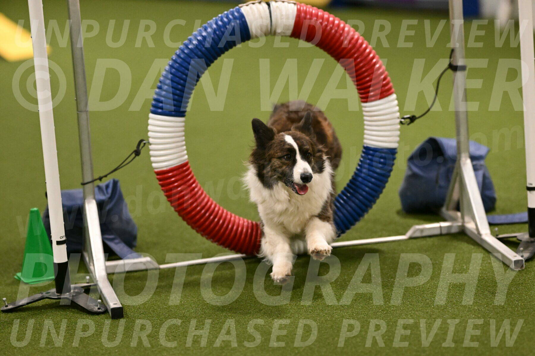 Jonny-Quest-Leslie-Masterson-10988