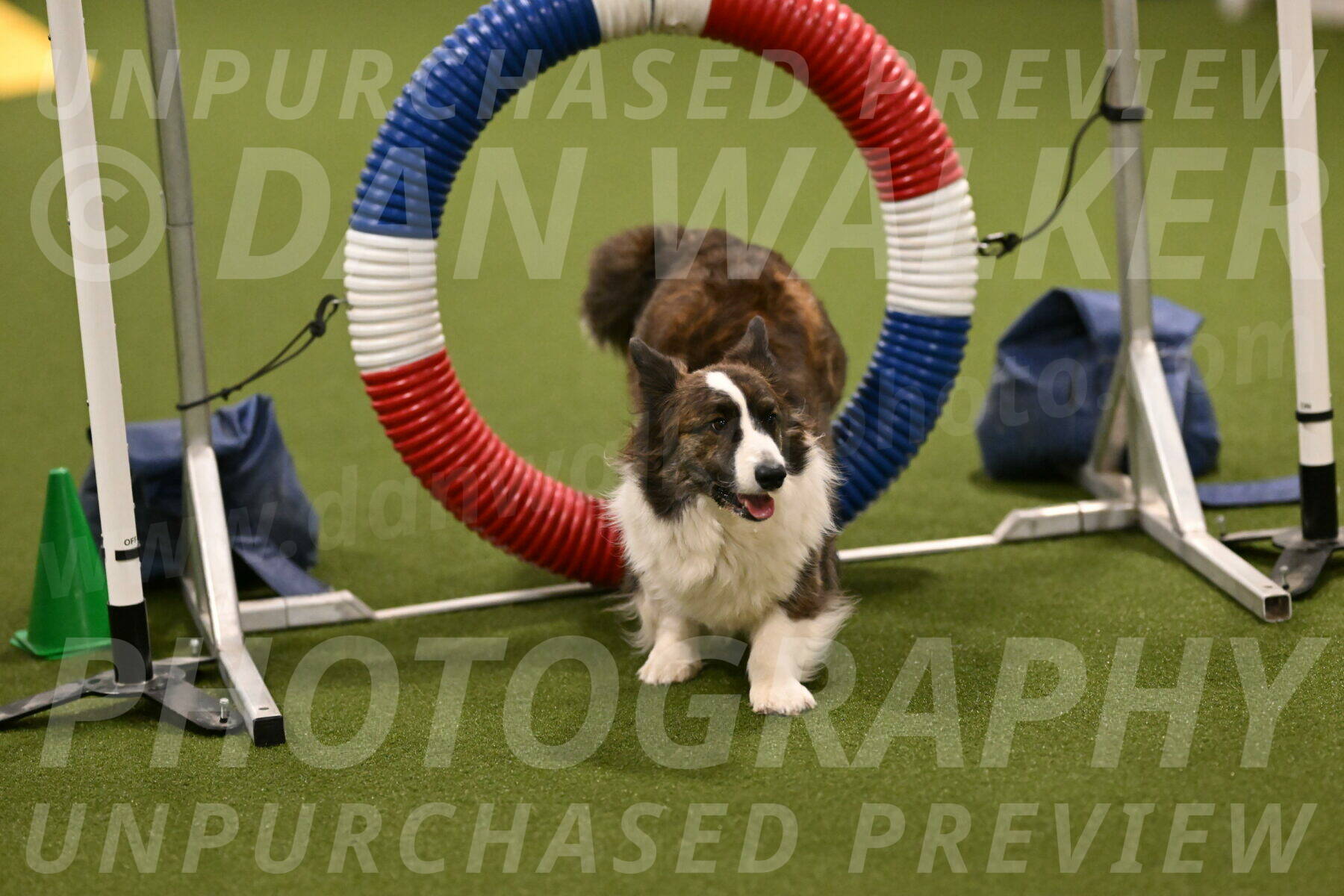 Jonny-Quest-Leslie-Masterson-10989