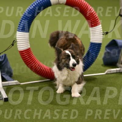 Jonny-Quest-Leslie-Masterson-10989