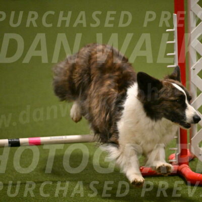 Jonny-Quest-Leslie-Masterson-10990