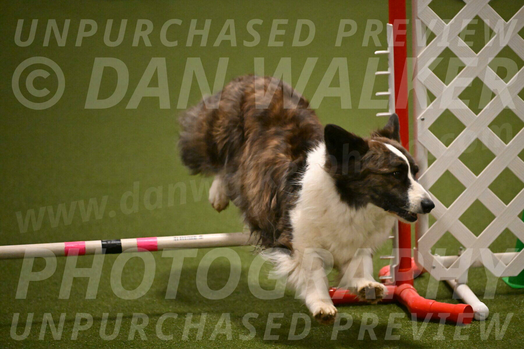 Jonny-Quest-Leslie-Masterson-10990