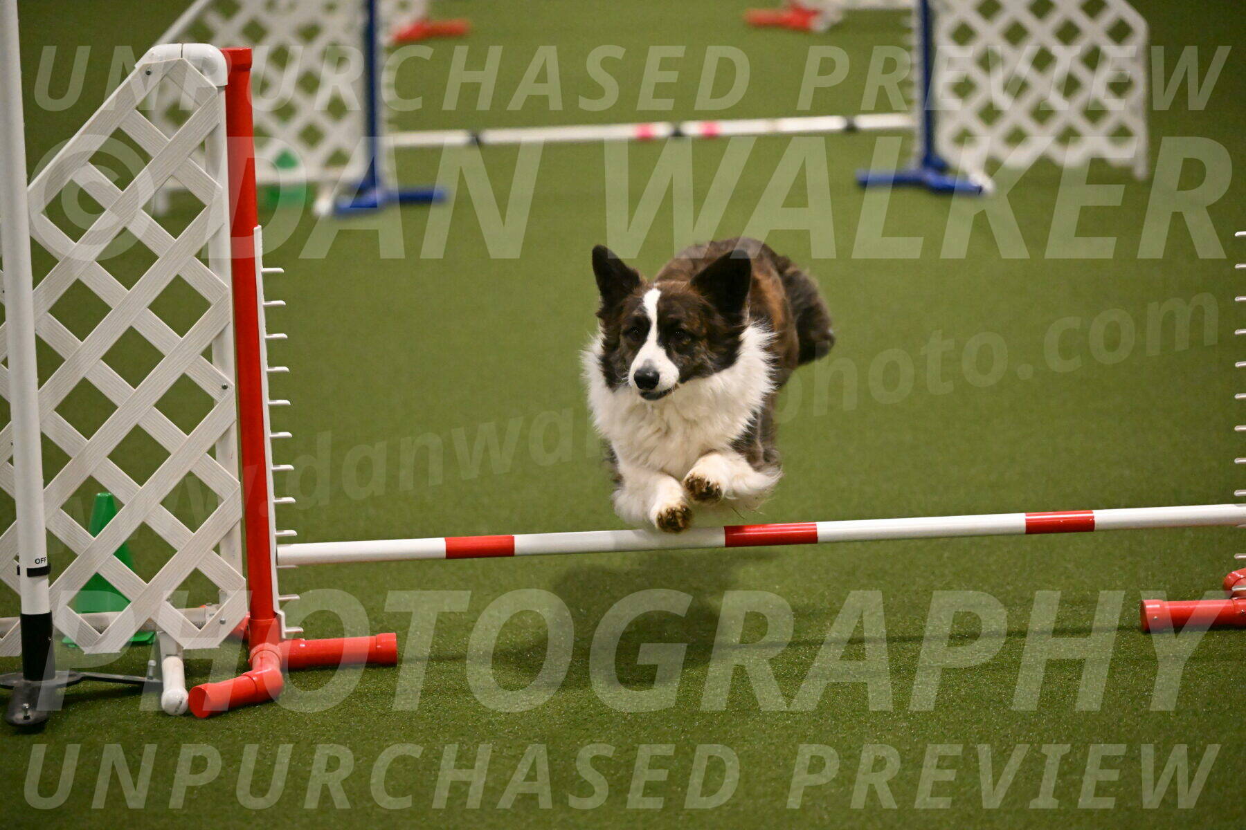 Jonny-Quest-Leslie-Masterson-10991