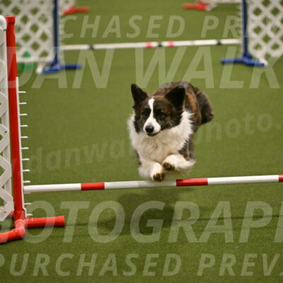 Jonny-Quest-Leslie-Masterson-10991