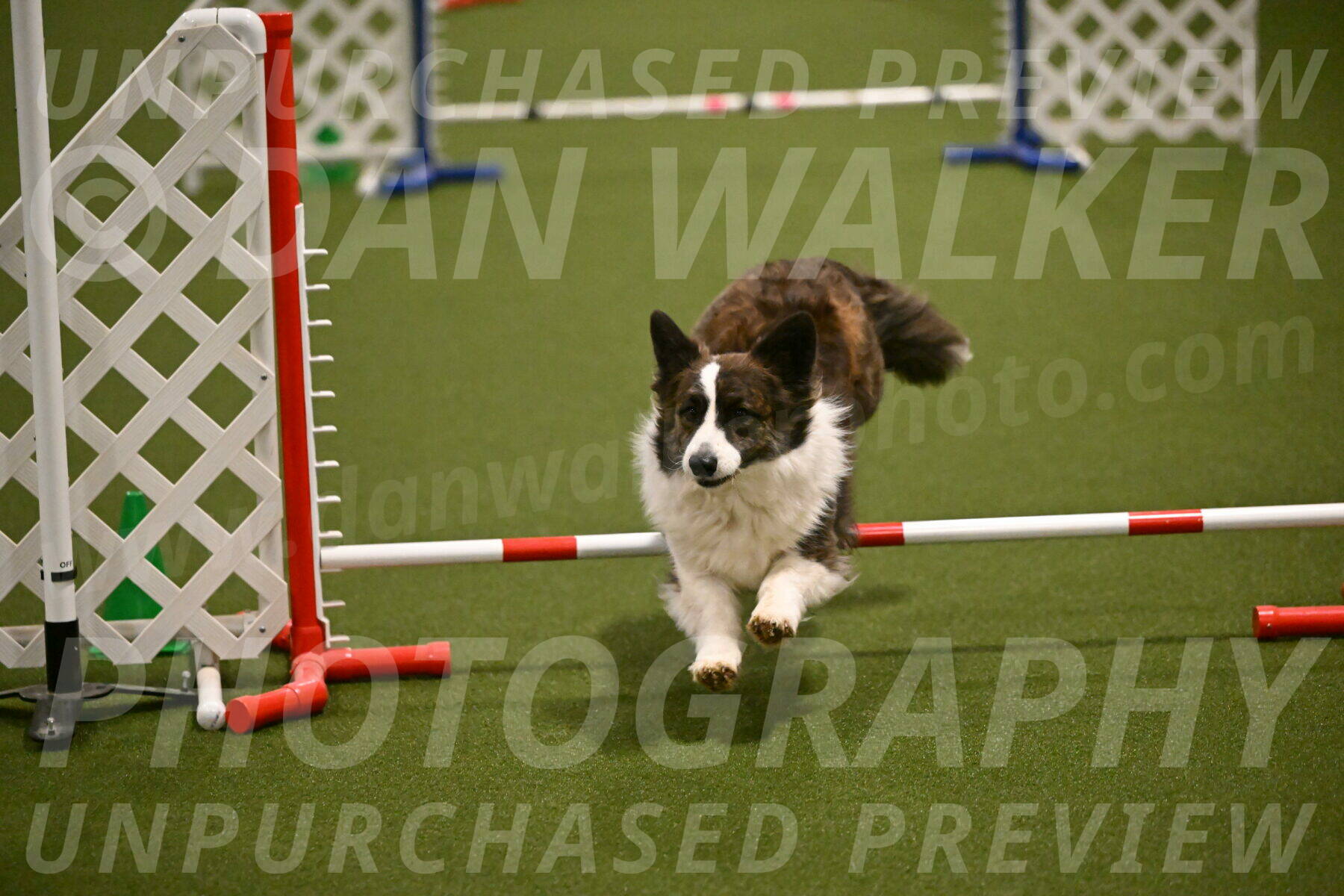 Jonny-Quest-Leslie-Masterson-10992