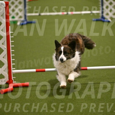 Jonny-Quest-Leslie-Masterson-10992