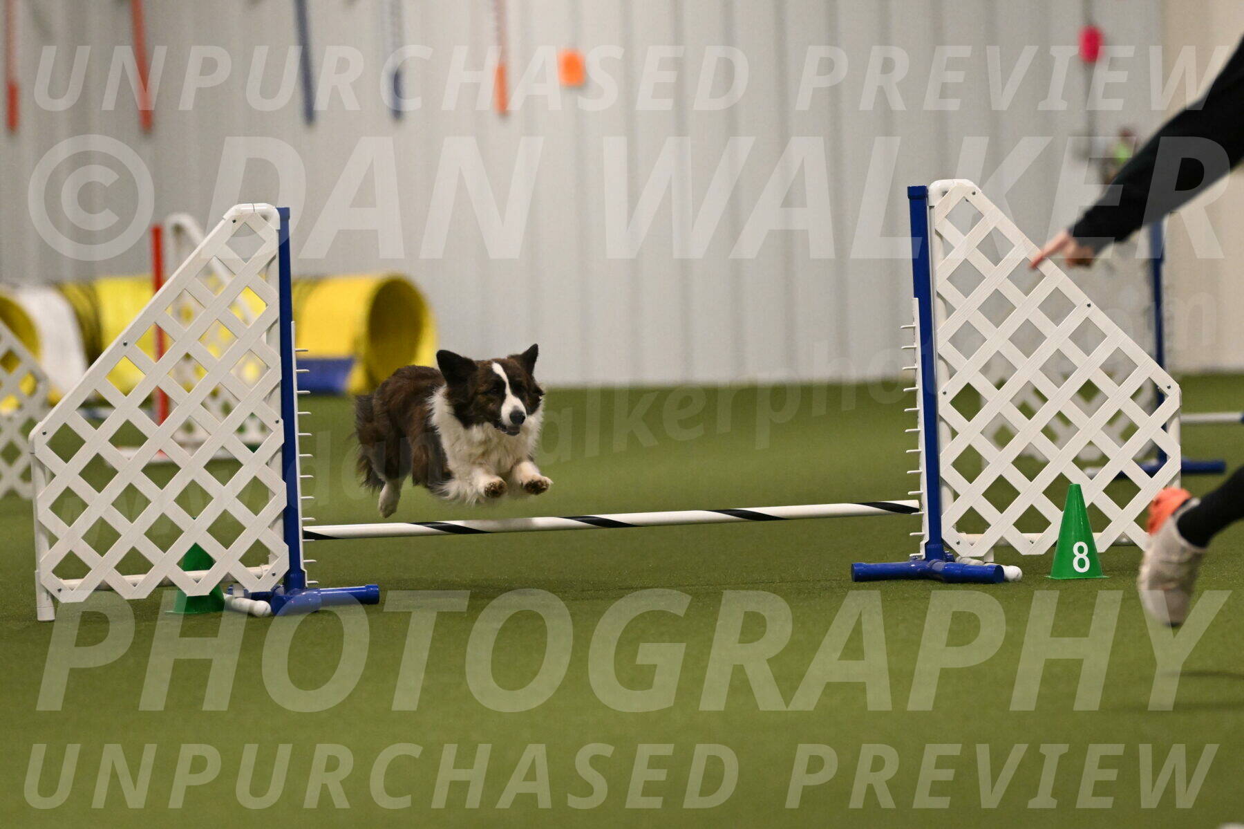 Jonny-Quest-Leslie-Masterson-10993