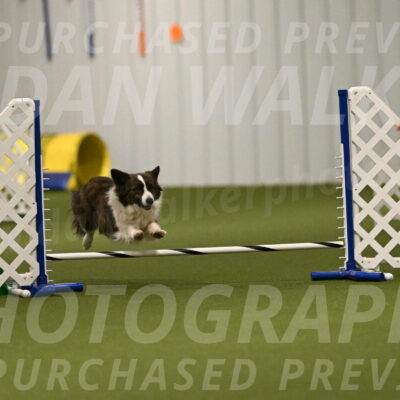 Jonny-Quest-Leslie-Masterson-10993